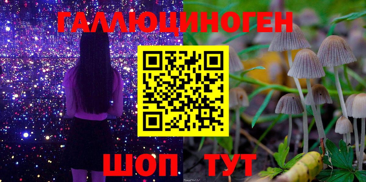 Галлюциногенные грибы GOLDEN TEACHER Чусовой